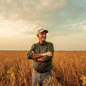 Etiam bibendum elit eget erat